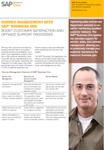 b1 brochure - service management with business one